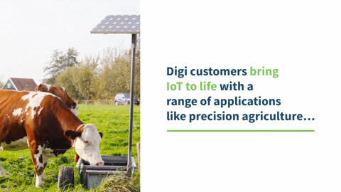 Agricultural Feed Bin Monitoring